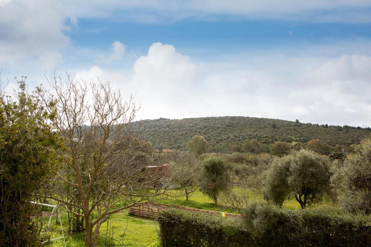 Alghero In Bicicletta Εξωτερικό φωτογραφία