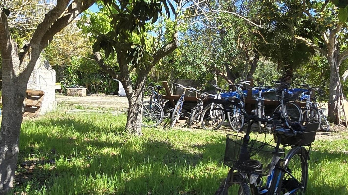 Alghero In Bicicletta Εξωτερικό φωτογραφία