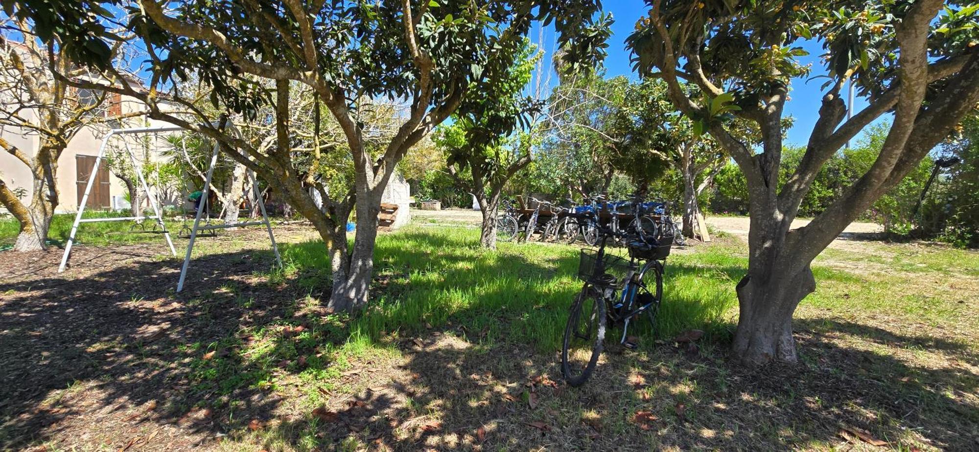 Alghero In Bicicletta Εξωτερικό φωτογραφία